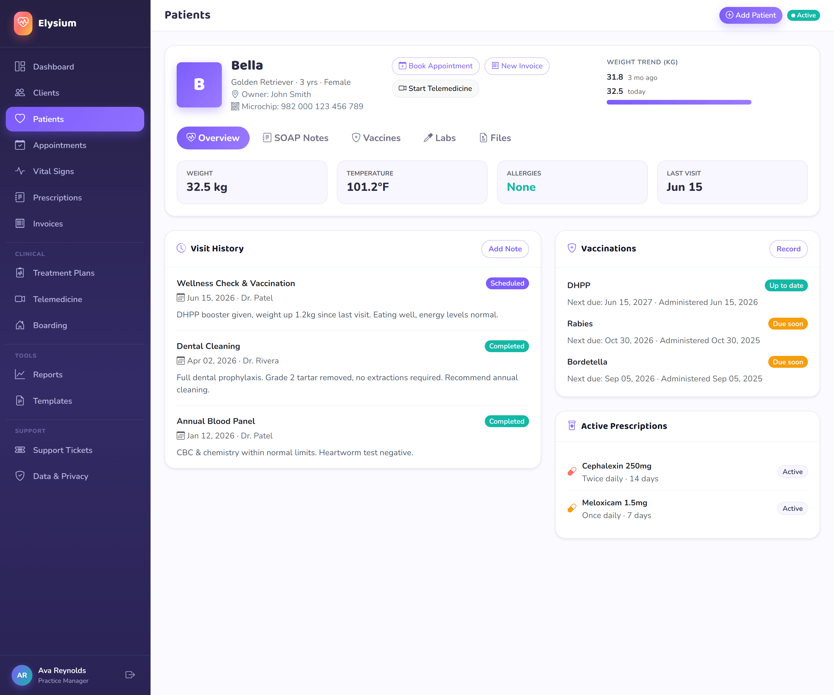 Elysium patient medical records